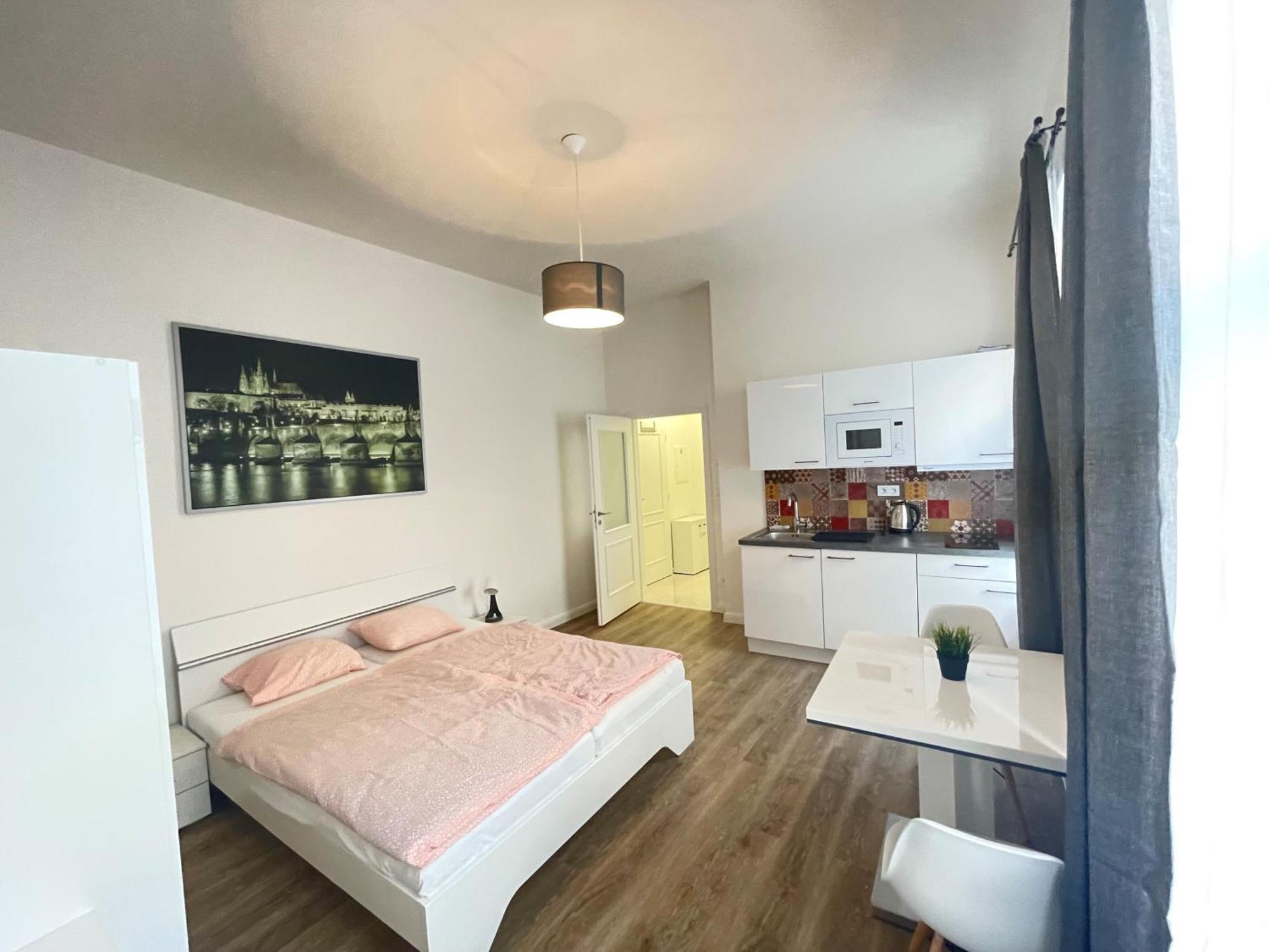Apartamento Petrska In 1